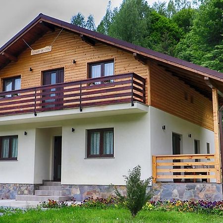 Pensiunea Floare De Colt Majszin Kültér fotó