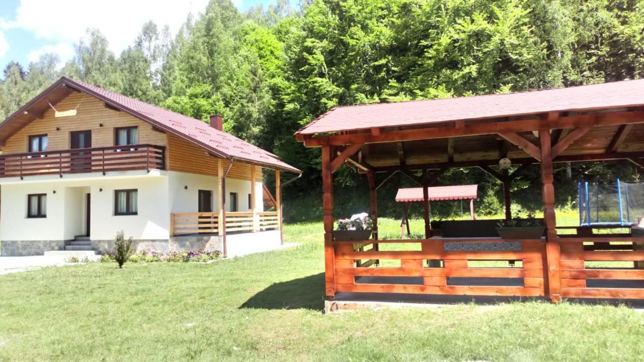Pensiunea Floare De Colt Majszin Kültér fotó