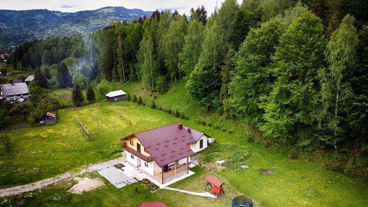 Pensiunea Floare De Colt Majszin Kültér fotó