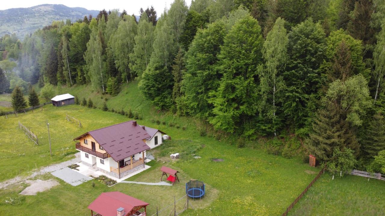 Pensiunea Floare De Colt Majszin Kültér fotó