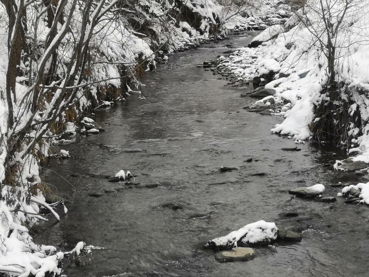 Pensiunea Floare De Colt Majszin Kültér fotó