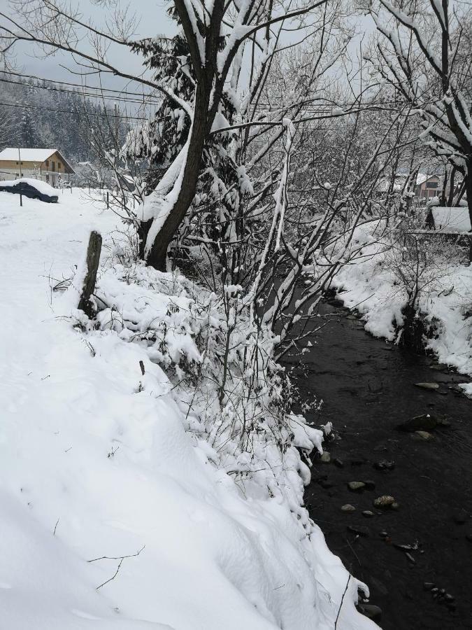Pensiunea Floare De Colt Majszin Kültér fotó